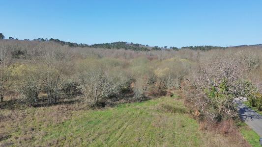 Acheter Terrain 2290 m2 Nabirat