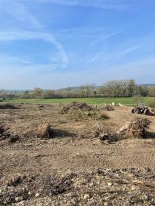 Acheter Maison 124 m2 Samogneux