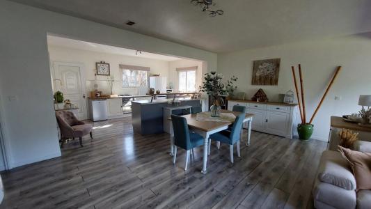 Annonce Location Maison Sarrola-carcopino 20