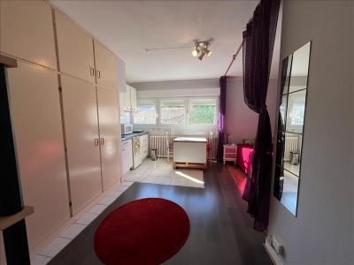 For rent Bordeaux 1 room 27 m2 Gironde (33800) photo 0