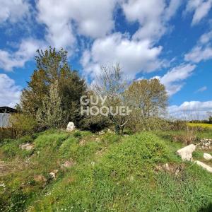 Annonce Vente Terrain Saint-georges-du-bois 17