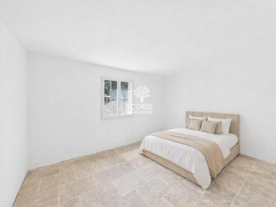 Acheter Maison Ventiseri 520000 euros