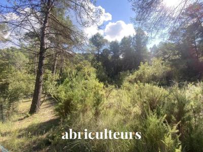 Acheter Terrain 2653 m2 Roque-d'antheron