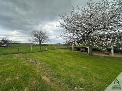 Acheter Maison 300 m2 Francheleins