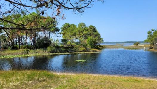 For sale Hourtin 700 m2 Gironde (33990) photo 0