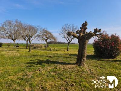 Acheter Prestige 195 m2 Pibrac