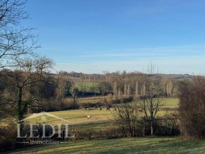 Acheter Prestige 350 m2 Condom