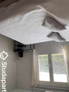 For rent Biot 1 room 11 m2 Alpes Maritimes (06410) photo 0