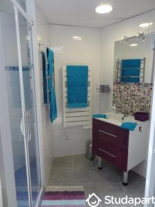 Louer Appartement 30 m2 Quint-fonsegrives