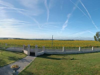 Annonce Vente Prestige Fontaine-chalendray 17