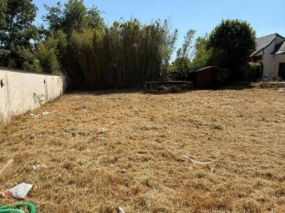 Annonce Vente Terrain  44