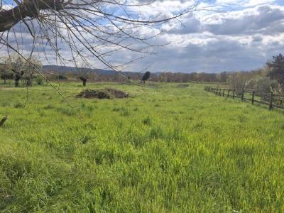 Annonce Vente 5 pi�ces Maison  07