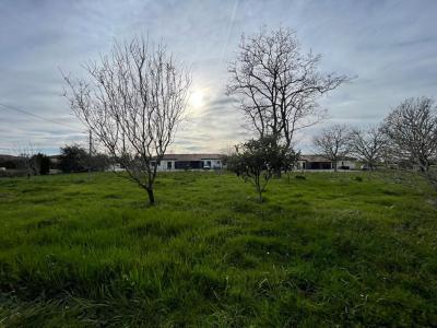 For sale Montjoire 2252 m2 Haute garonne (31380) photo 1