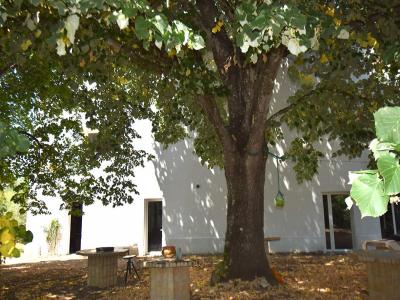 Acheter Maison Castelsarrasin Tarn et garonne