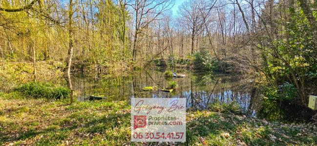 Annonce Vente Domaine forestier Ferte-sous-jouarre 77