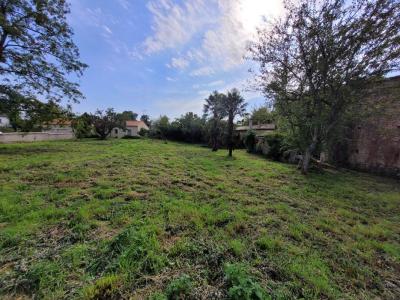 Annonce Vente Terrain Sainte-ouenne 79