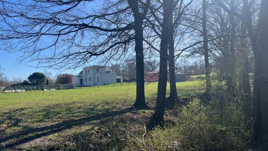 Annonce Vente Terrain Poncins 42