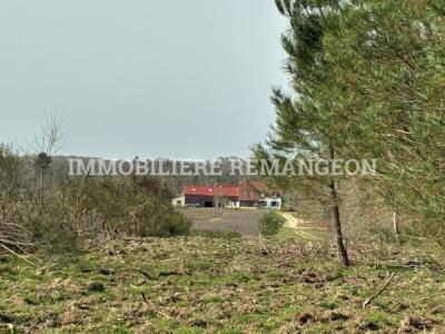 For sale Lamotte-beuvron 6 rooms 230 m2 Loir et cher (41600) photo 2