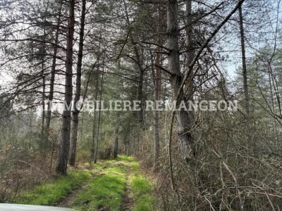 For sale Lamotte-beuvron 6 rooms 230 m2 Loir et cher (41600) photo 3