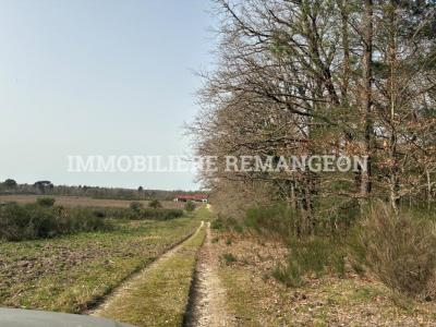 For sale Lamotte-beuvron 6 rooms 230 m2 Loir et cher (41600) photo 4