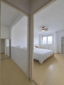 Louer Appartement Toulouse 2350 euros