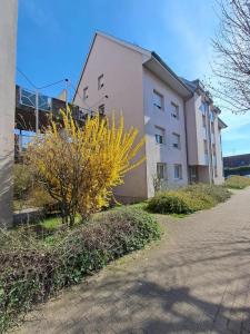 For rent Vieux-thann 2 rooms 48 m2 Haut rhin (68800) photo 0