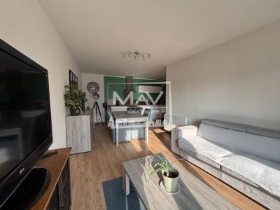 Annonce Location 2 pi�ces Appartement Saint-omer 62