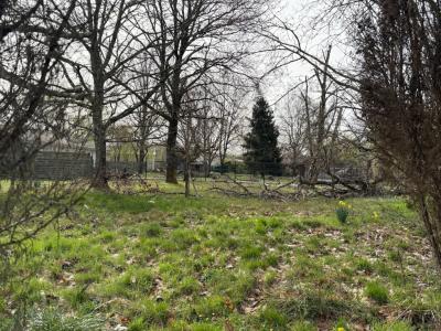 Acheter Terrain 746 m2 Avensan