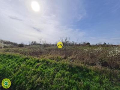 Annonce Vente Terrain Levroux 36
