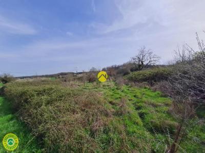 Acheter Terrain 2922 m2 Levroux