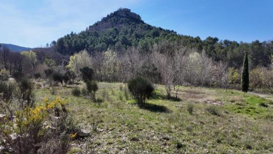 Annonce Vente 17 pi�ces Maison Entrechaux 84