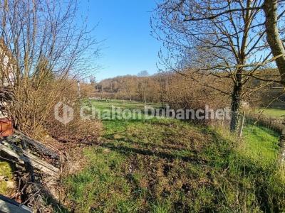 Acheter Maison Nervieux Loire