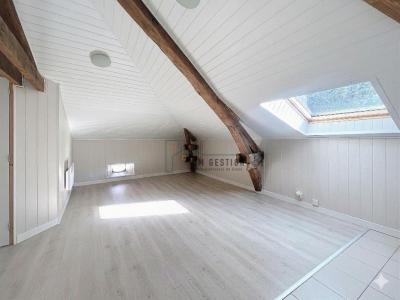 Annonce Location Appartement Ambazac 87