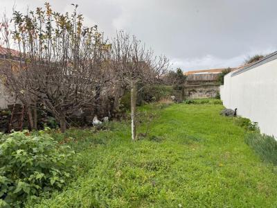 Annonce Vente 5 pi�ces Maison Noirmoutier-en-l'ile 85