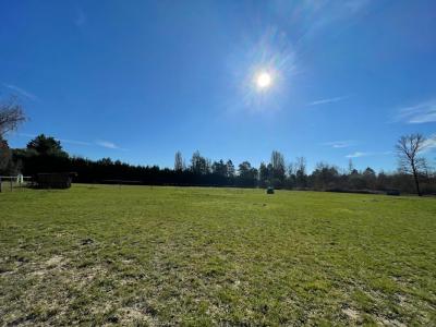 Annonce Vente Prestige Vitry-aux-loges 45