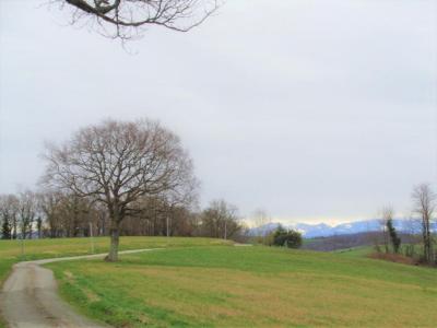 Acheter Terrain 32767 m2 Bidache