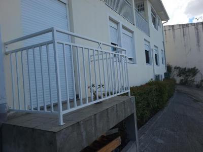 Acheter Immeuble 271 m2 Schoelcher