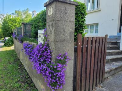 Annonce Vente 6 pi�ces Maison Fouesnant 29