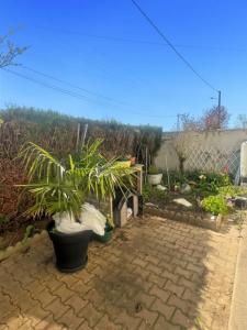 Annonce Vente 7 pi�ces Maison Ambrault 36