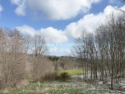 Acheter Maison Gumieres Loire