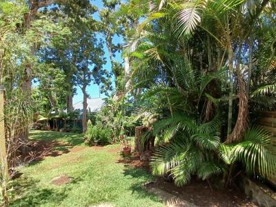 Annonce Vente 4 pi�ces Maison Mont-vert 974