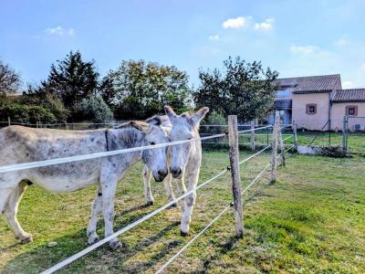 Annonce Vente 6 pi�ces Maison Saint-elix-le-chateau 31