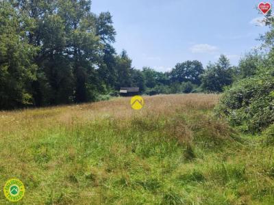 Acheter Terrain Mornay-sur-allier Cher