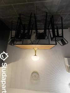 Louer Appartement Toulouse 495 euros