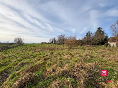 Annonce Vente Terrain Precy-sous-thil 21