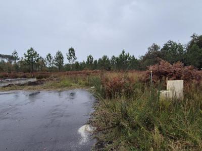 For sale Parentis-en-born 800 m2 Landes (40160) photo 0