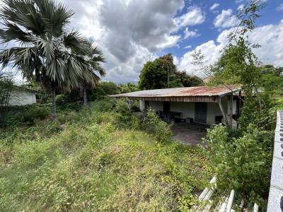 Annonce Vente Terrain Port 974