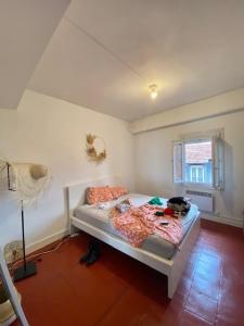 For rent Toulouse 2 rooms 33 m2 Haute garonne (31000) photo 0