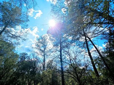 For sale Camps-la-source 1585 m2 Var (83170) photo 0