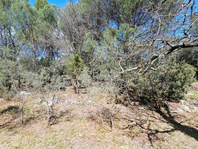 Annonce Vente Terrain Camps-la-source 83